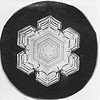 Snowflake Study by Smithsonian Institution