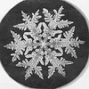 Snowflake Study by Smithsonian Institution