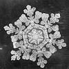 Snowflake Study by Smithsonian Institution