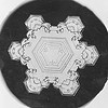 Snowflake Study by Smithsonian Institution