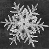 Snowflake Study by Smithsonian Institution