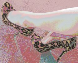 Leopard Shoes