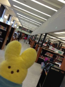  photo IMG_3528_zps7a5d9ea6.jpg