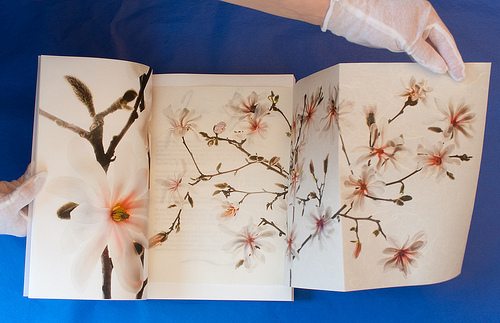 A washi Unryu spread within Botanique