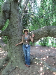inside the tree of wishes