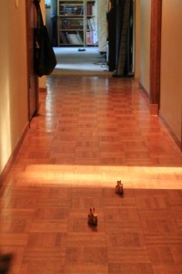 Run!