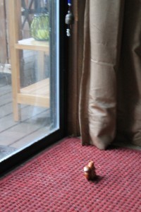 Where Did You Go?
