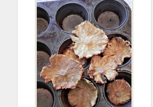 Flores de piña mal