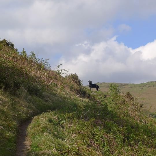 Nattadon Hill 3