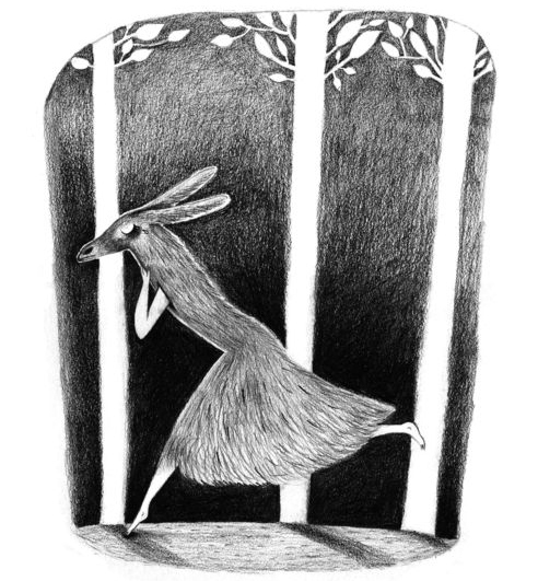 Peau d'âne (Donkeyskin) by Anneclaire Macé