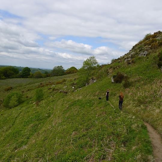 Hillside 3