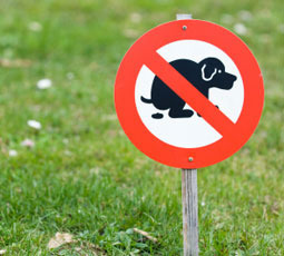 No Squatting