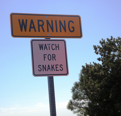 The new publishing paradigm is fraught with danger.