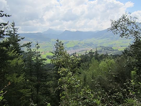 Gipuzkoa woodland view
