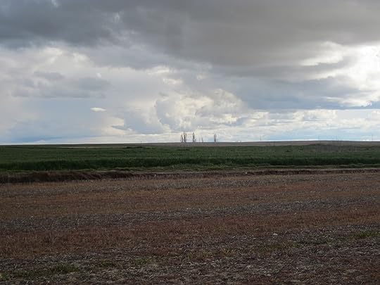 Castilian Landscape