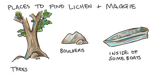 vacation lichen