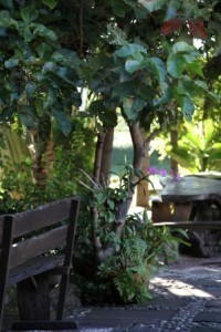 IMG_5081