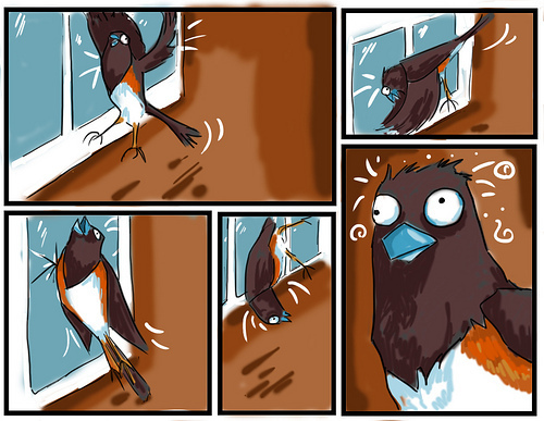 towhee attack