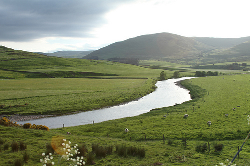 Scottish Road near Selkirk