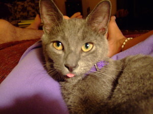 Mischa