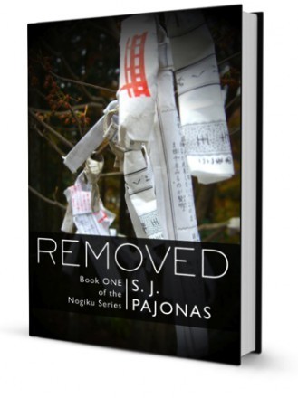 book_3d_covers_removed_350