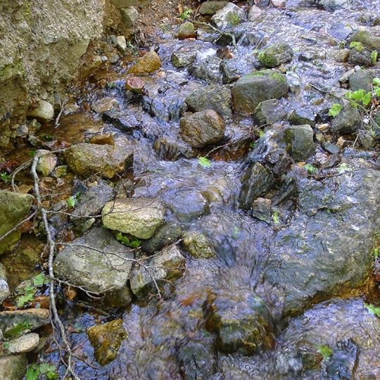 Water 3