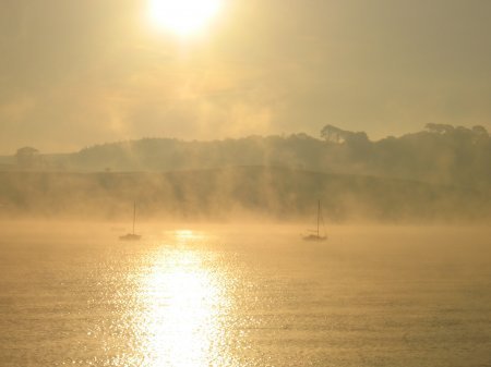 Fog on the river