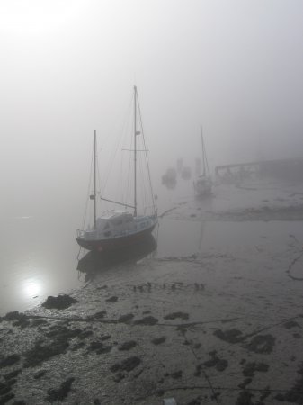 The misty river