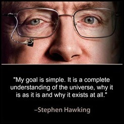 hawking-simple-goal