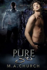 Pure 200x300