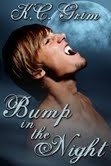 Bump in the Night- paperback cover