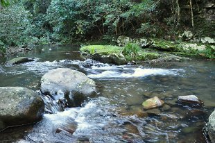 Telegherry-River