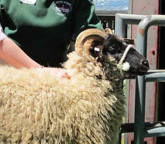 Hog Island_1328 - Version 2