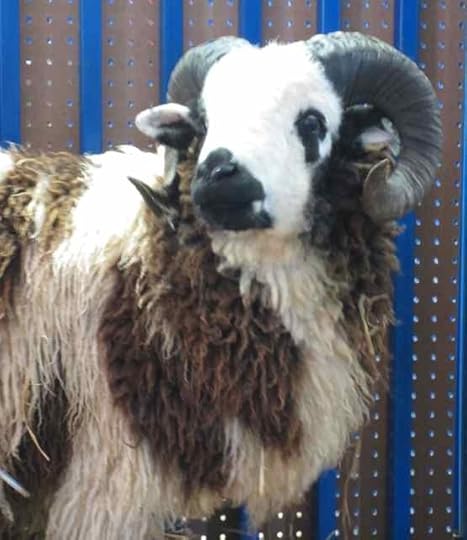 Jacob_1166 - Version 2