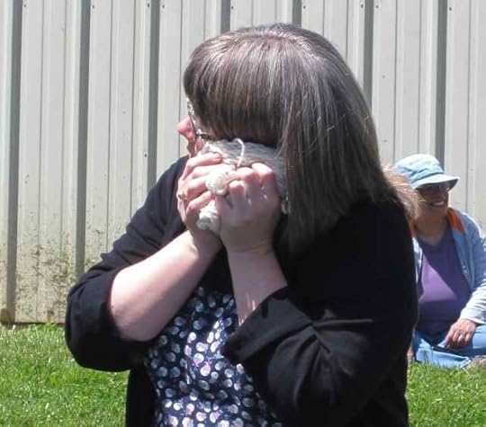 Clarawool_1279 - Version 2