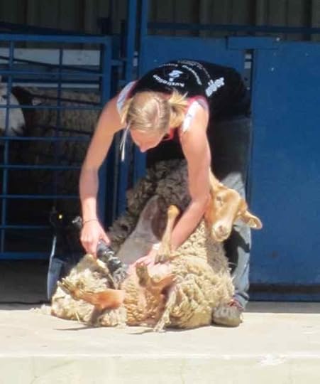 Shearing-Kristen_1273