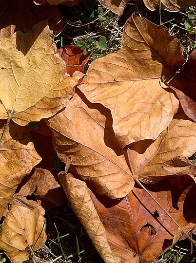 London-20130928-00384