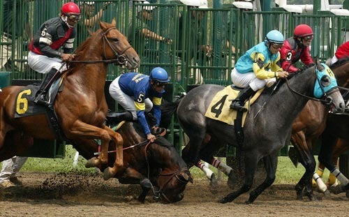 race-horse-accident