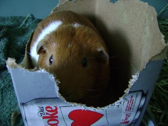 I have eaten too many leftover jellybeans and I feel like they're rotting me from the inside.