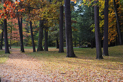 Autumn