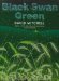Black Swan Green by David Mitchell