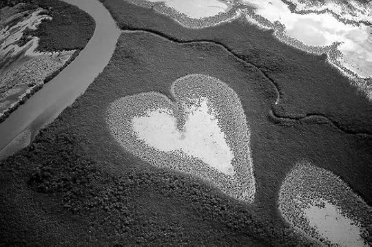 photo 67282fd0-3bf4-4f99-bc96-8a85c2b77a2c_zps70b0713f.jpg