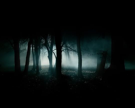 Forêt la nuit