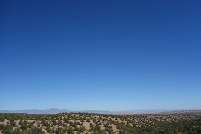 DSC01539