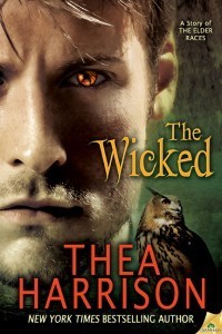 An amber-eyed man, with some sexy scruff on his jaw glares and an owl looks away