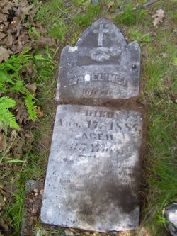 12715657_133952560724