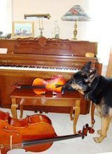 GSD-Music