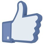 Facebook-Like