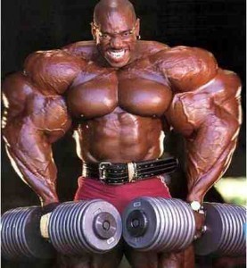 Bodybuilder Wallpapers Free Download HD - Gym1