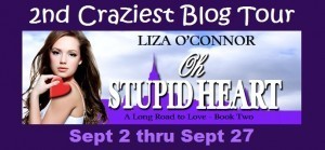 1 Oh Stupid Heart Banner- Blog Tour 2nd